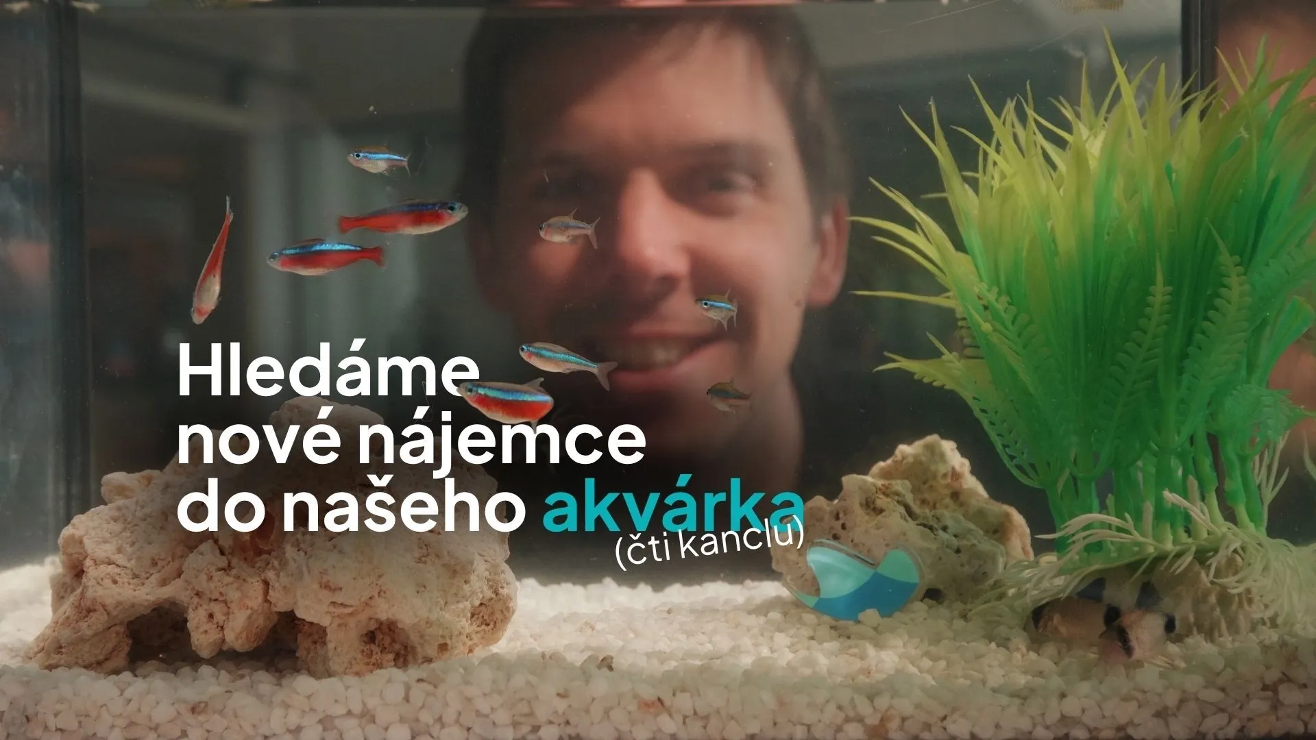 Stěhujeme se a naše boží porubské kanceláře můžou být vaše