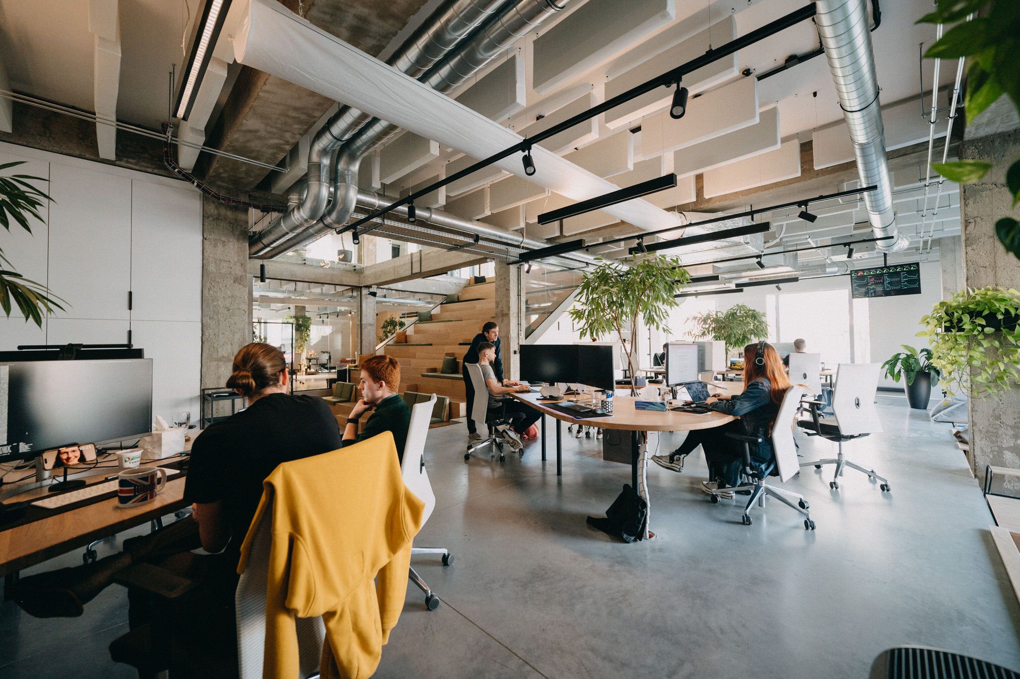 2024_03_27_raynet_by_lukasneasi_7_d6b7e3eec6