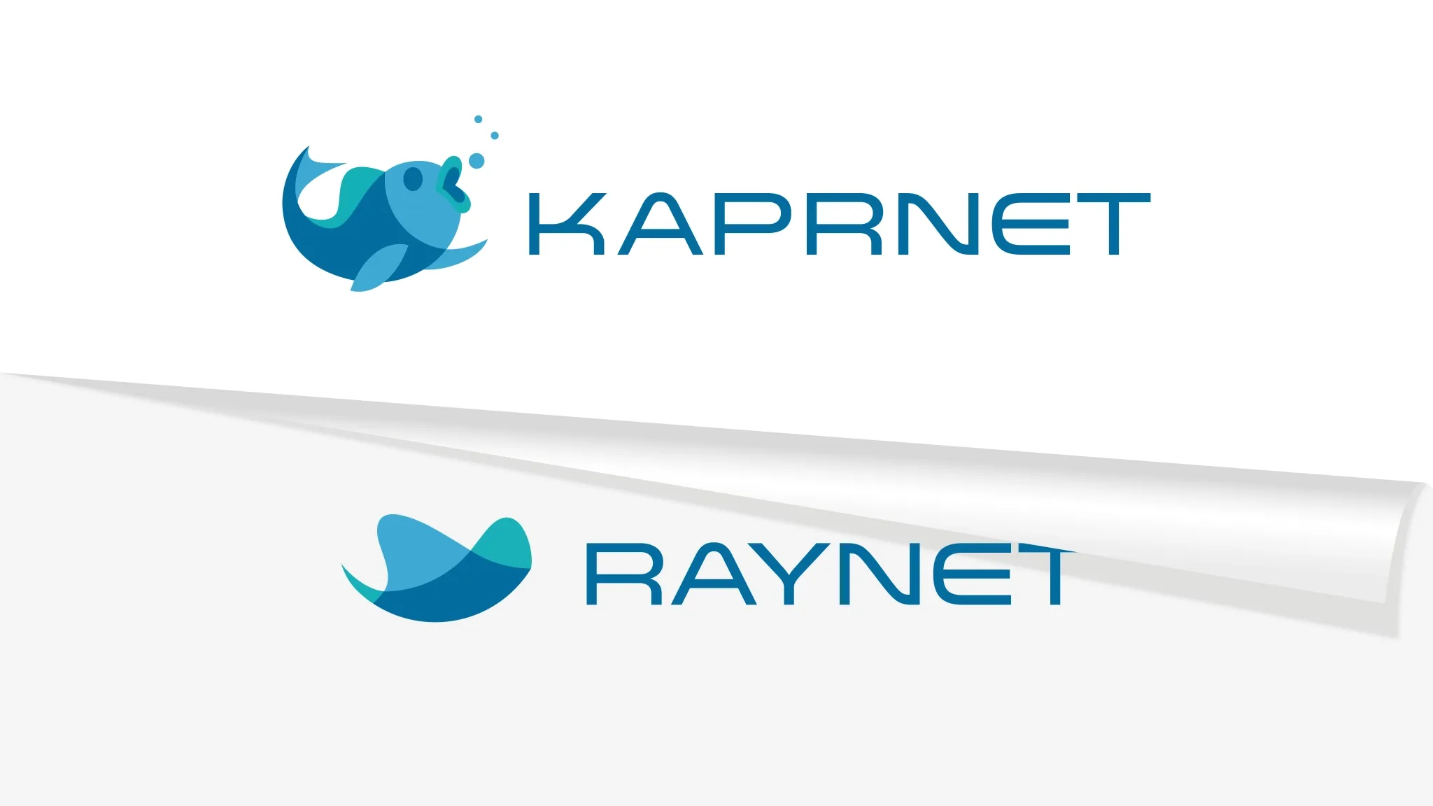RAYNET rebranduje: přivítejte KAPRNET
